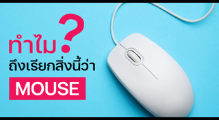 อุปกรณ์คอมพิวเตอร์