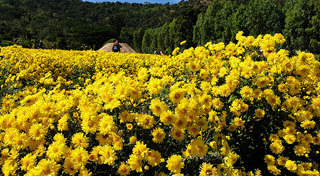 นครราชสีมา