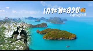 ที่เที่ยวสุราษฎร์ธานี