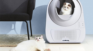 อุปกรณ์เลี้ยงสัตว์