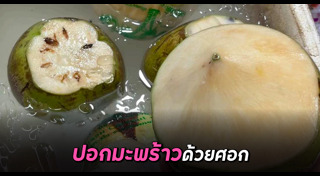 มะพร้าว