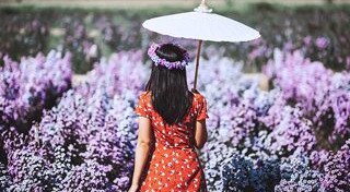 เที่ยวทุ่งดอกไม้