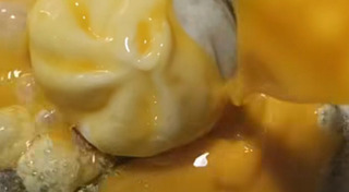 ไข่เจียว