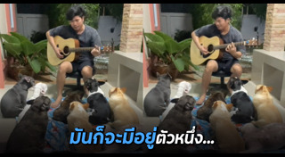 เล่นกีตาร์