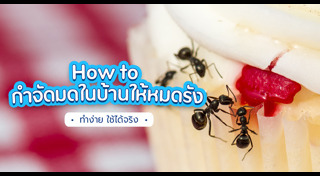 ทำความสะอาดบ้าน