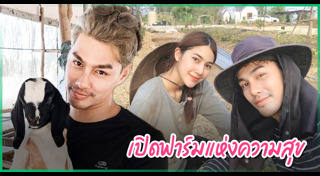 มายด์ ฑาริกา