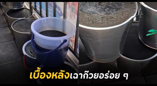 เฉาก๊วย