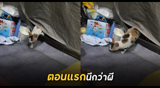 ตั้งแคมป์