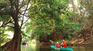 ที่เที่ยวเขาใหญ่