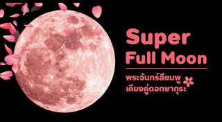 ภาพถ่ายทางอากาศ