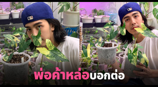 พ่อค้าหล่อ