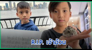 บีน่า บรู๊คลิน