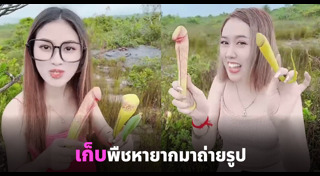 พืชแปลก