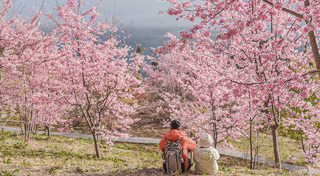 เที่ยวไต้หวัน