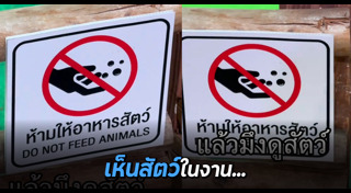 อาหารสัตว์เลี้ยง