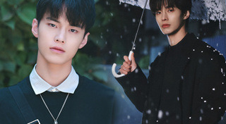 ประวัติดารา