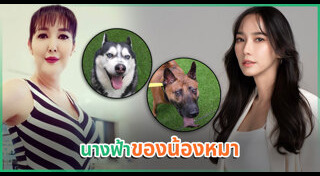 ซันนี่ ยูโฟร์