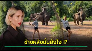 เชื้อพระวงศ์