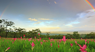 ที่เที่ยวชัยภูมิ