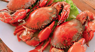 สมุทรสาคร