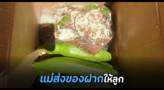 ของฝาก
