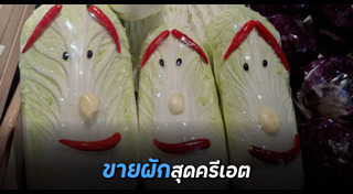 ผักกาดขาว