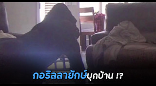 สัตว์เข้าบ้าน