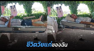เปลญวน
