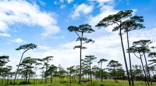 ภูสอยดาว