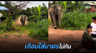 ตักบาตร