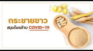 สมุนไพรรักษาโรค