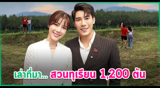 เคน เอสเธอร์