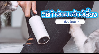 ทำความสะอาดบ้าน