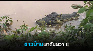 น้ำท่วมพิษณุโลก