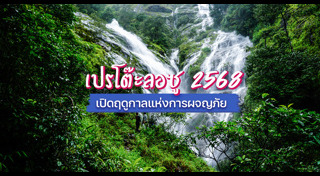 ที่เที่ยวตาก