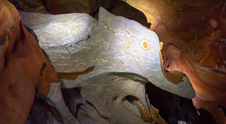 ที่เที่ยวพังงา