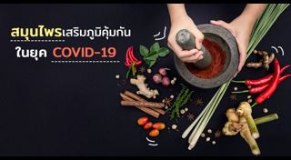 วิธีเสริมภูมิคุ้มกัน