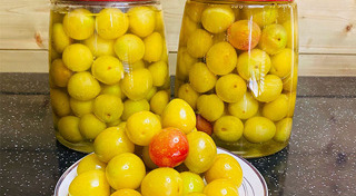 หมักดอง