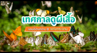 ผีเสื้อแก่งกระจาน