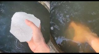 น้ำประปา