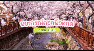 เที่ยวเกาหลีใต้