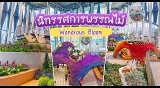 ที่เที่ยวระยอง