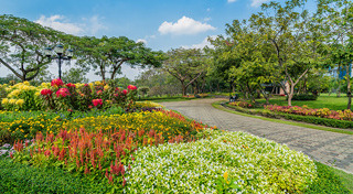 สวนสาธารณะ