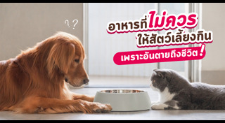 อาหารสัตว์เลี้ยง