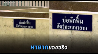 สัตว์ทะเล