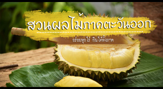 สวนผลไม้ระยอง