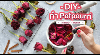 ของแต่งบ้าน