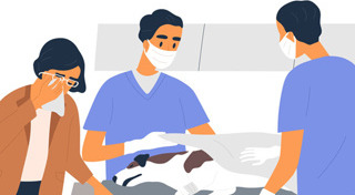 บริจาคร่างกาย