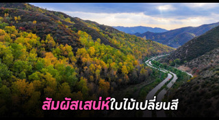 มองโกเลีย