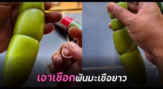 การทดลอง